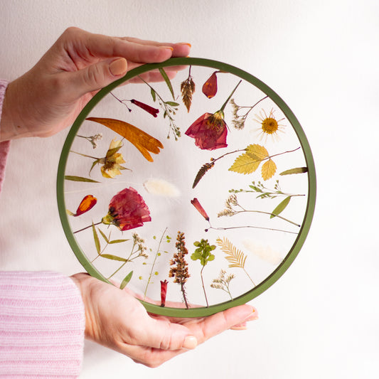 מסגרת פרחים מיובשים עגולה מדיום - ירוק זית