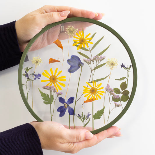 מסגרת פרחים מיובשים עגולה מדיום - ירוק זית