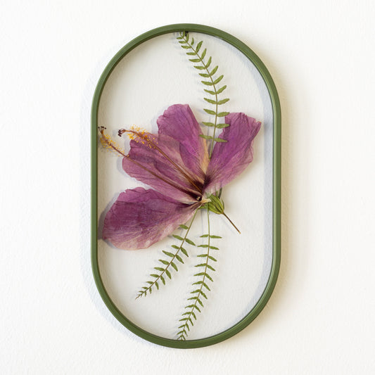 frame: ירוק זית