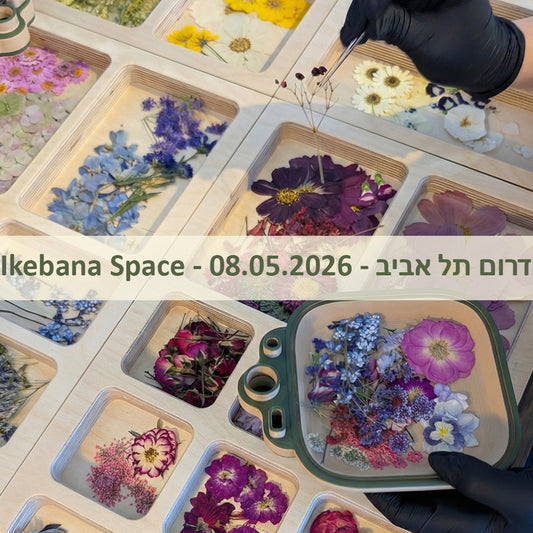 סדנת שישי בוקר - 08.05.26