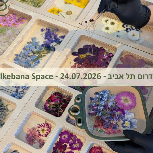 סדנת שישי בוקר - 24.07.26
